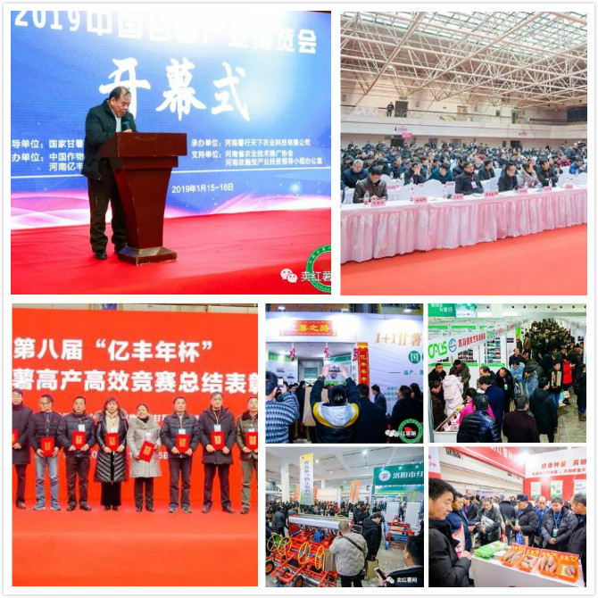 第二届中国甘薯产业博览会.jpg