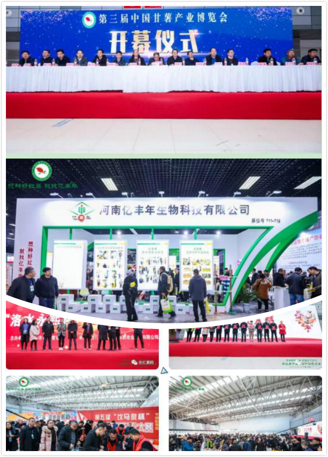 第三届中国甘薯产业博览会.jpg