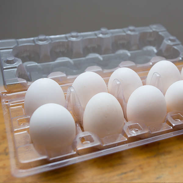 生鮮鴿蛋(10枚裝)